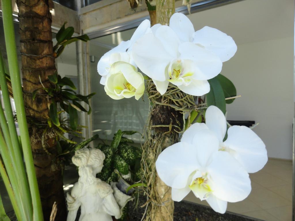 Pousada Orquideas Гуаружа Экстерьер фото